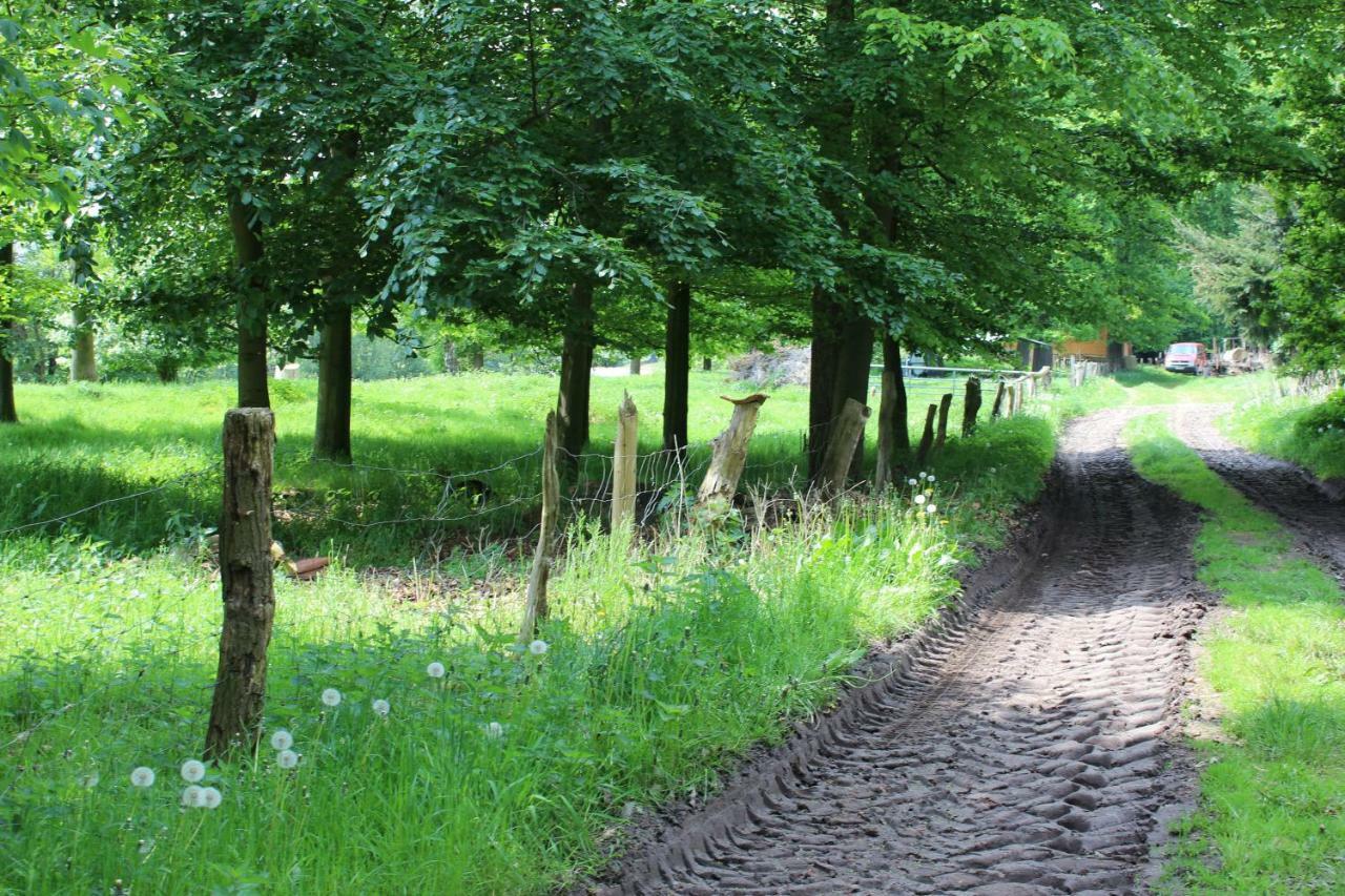 Вилла Haus Kornfeld Oberlangen Экстерьер фото